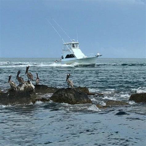 waterproof fishing charters ponce inlet.